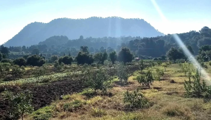 Santa Maria Pipioltepec Numero - Santa María Pipioltepec