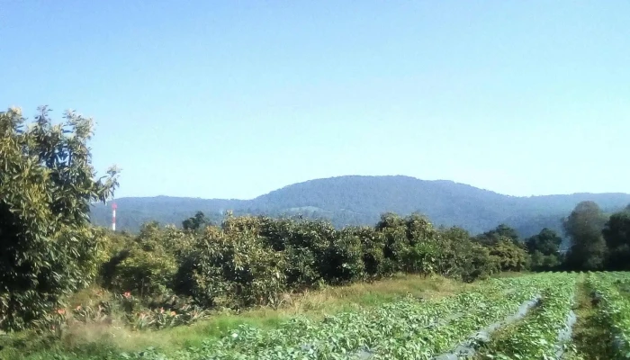 Santa Maria Pipioltepec Videos - Santa María Pipioltepec