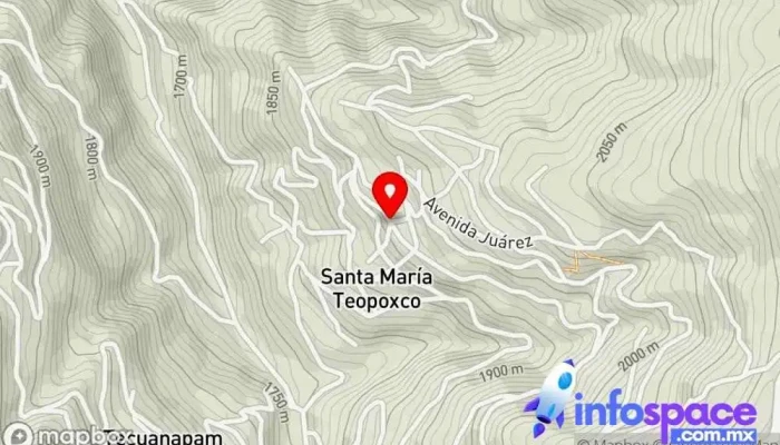 mapa de Santa María Teopoxco  en Santa María Teopoxco