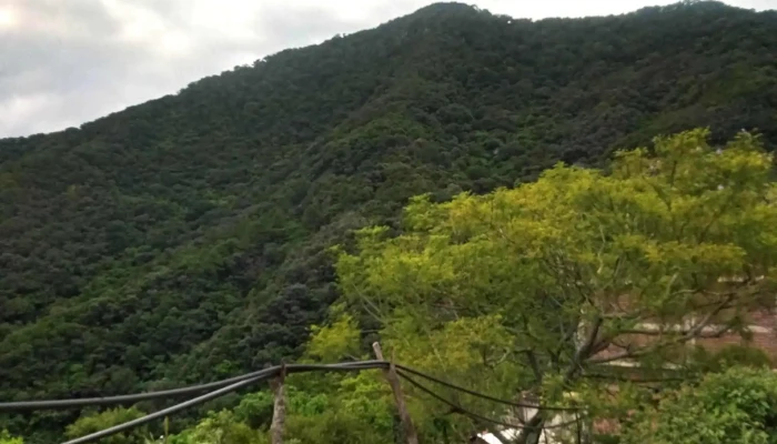 Santa Maria Zapotitlan Instagram - Santa María Zapotitlán