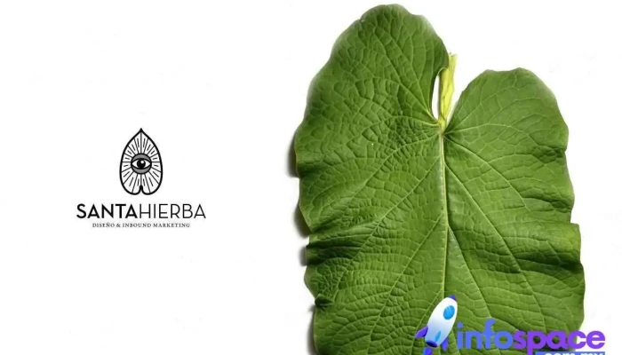 SantaHierba Agencia de Branding - Oaxaca De Juárez