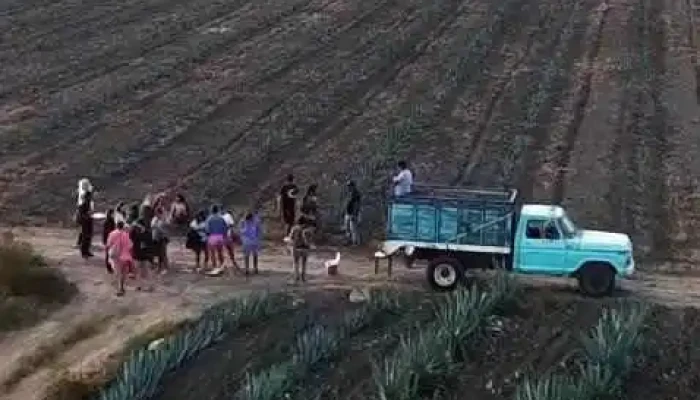 Santiago Matatlan Videos - Oaxaca