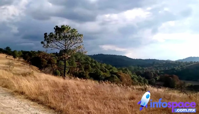 Santiago Yolomecatl Videos - Oaxaca
