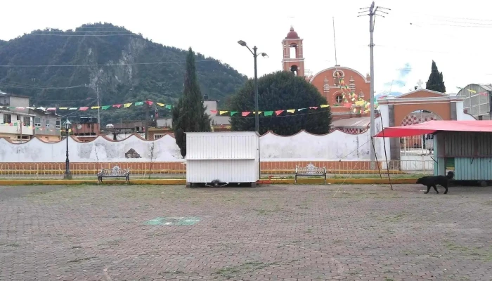 Santo Tomas Atzingo -  Comentarios - Tlalmanalco de Velázquez