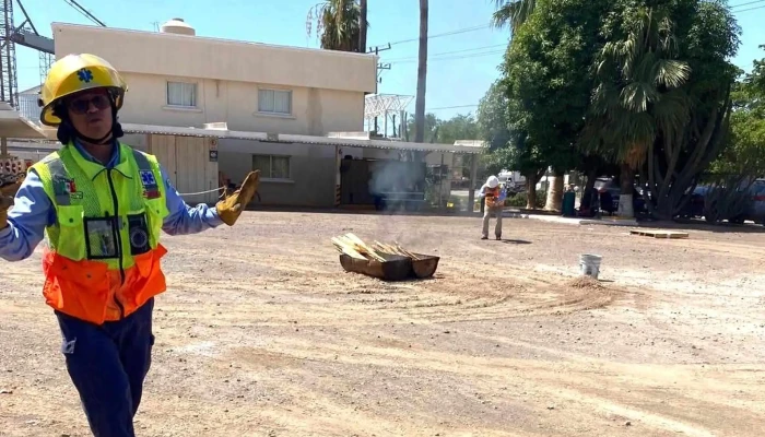 Secsa Asesoria Consultoria Y Capacitacion En Ambiente Y Seguridad En El Trabajo Direccion - Los Mochis