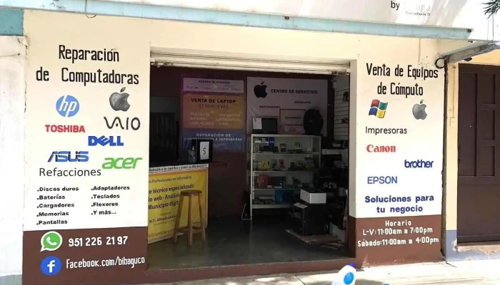 Servicios Profesionales en Informática - Oaxaca De Juárez