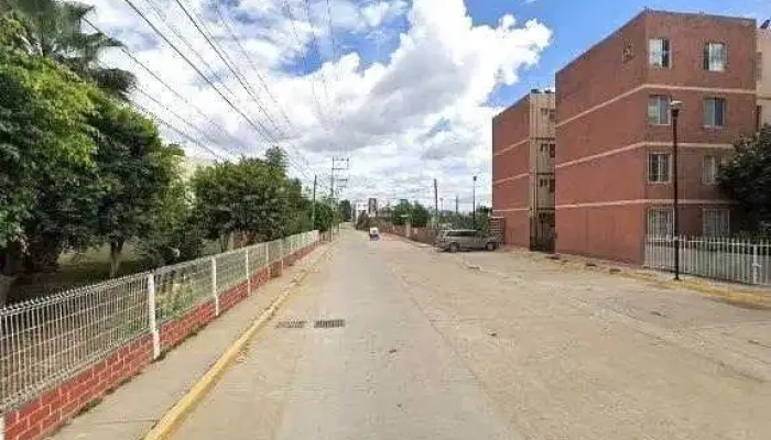Servicios Tecnicos Forestales Y Agricolas Setefa Videos - San Jerónimo Yahuiche