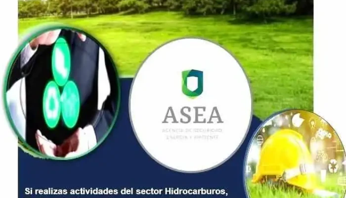 Siguiente Nivel -  Del Propietario - Guasave