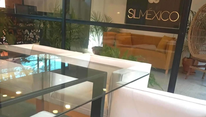 Silmexico Business Consulting -  Instagram - Oaxaca de Juárez