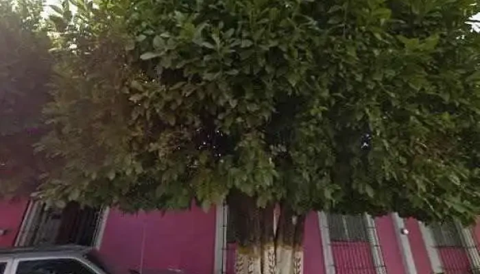 Sinaloa -  Videosdeg - Sinaloa