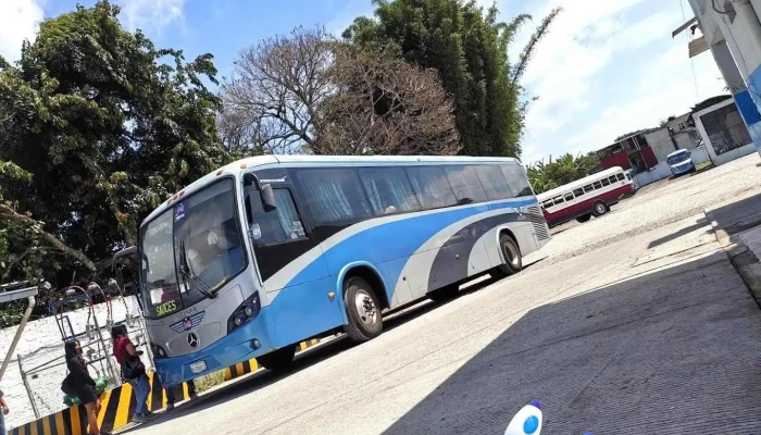 Sociedad Cooperativa de Autobuses Excelsior Xalapa Coatepec Xico S. de R.l. de C.v. - Coatepec