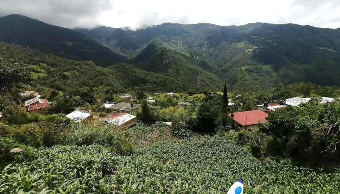Soledad Tectitlan -  Donde - Santiago Comaltepec