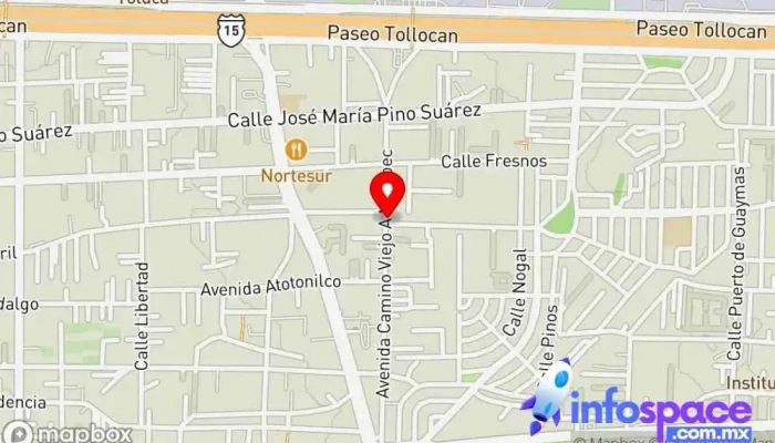 mapa de Soluciones Remotas y Tecnologías de la Información SAS de CV - Metepec Consultora informática en San Jerónimo Chicahualco