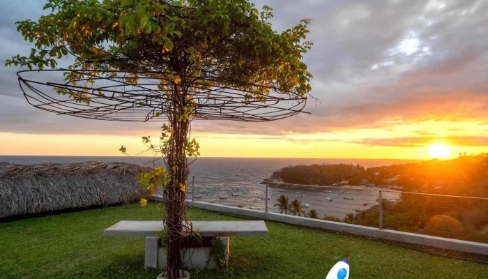 Tadam Hospitality -  Comentarios - Puerto Escondido