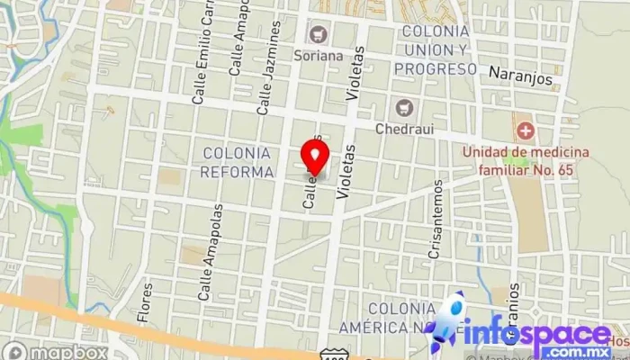 mapa de Talento 3.0 Consultoría de recursos humanos en Oaxaca de Juárez