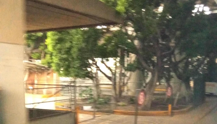 Tapo -  Comentarios - Ciudad de México