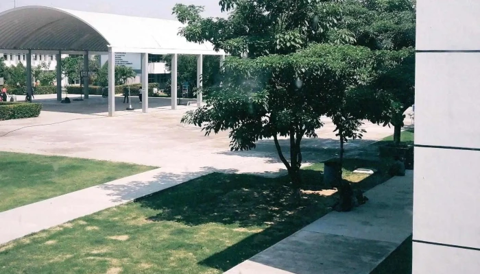 Tecnm   Campus Salina Cruz Salina Cruz - Salina Cruz