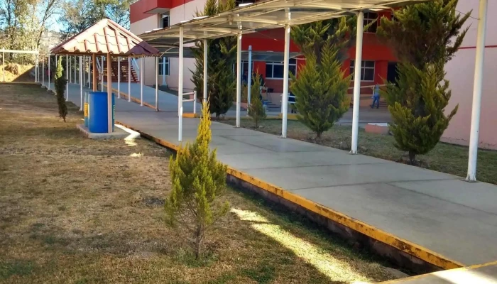Tecnm Instituto Tecnologico De Tlaxiaco Abierto Ahora - Tlaxco