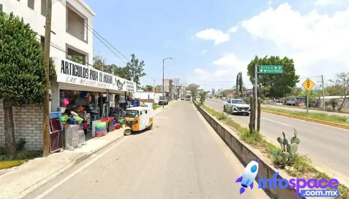 tecnologias avanzadas y pofesionales en control de plagas urbanas s.a de c.v - San Sebastián Tutla