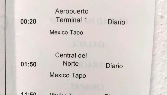 Terminal Acatlan Abierto Ahora - Acatlán de Osorio