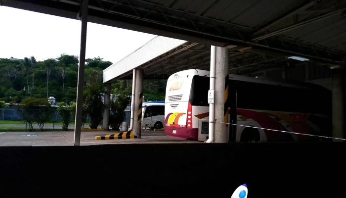 Terminal Ado/au - Alvarado - Centro