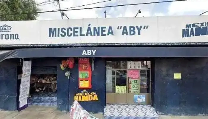 Terminal Autobuses Mexico -  Tizayuca Numero - San Bartolo Cuautlalpan