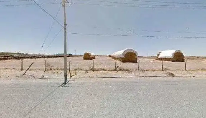 Terminal Bravobus Intra Sitio Web - Juárez