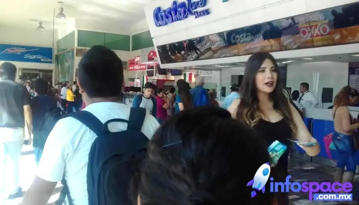Terminal Central Del Sur -  Videos - Coyoacán, Ciudad de México