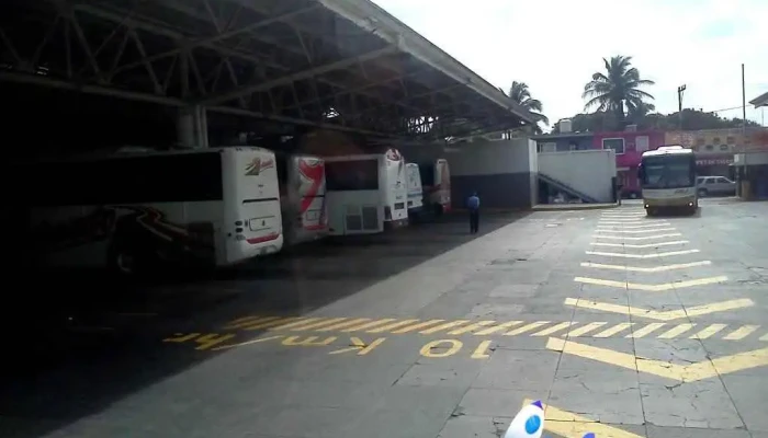 Terminal Central Veracruz, S.a. De C.v. - Ignacio Zaragoza
