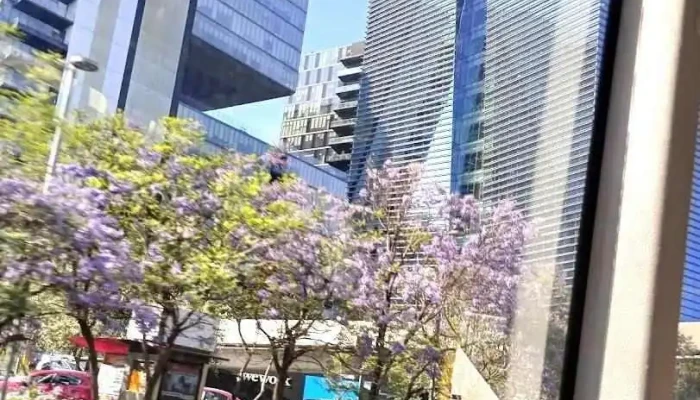 Terminal Centro Comercial Santa Fé - Ciudad De México