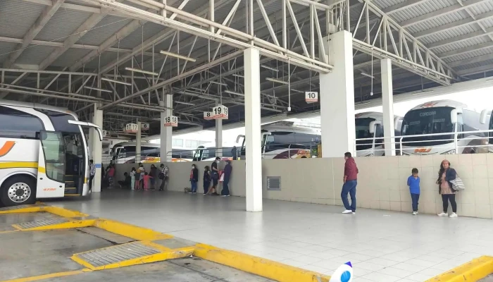 Terminal De Autobuses Au - Agustin Millan
