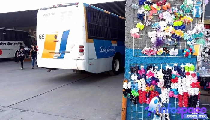Terminal De Autobuses De San Francisco Del Rincon -  Videos - San Francisco del Rincón