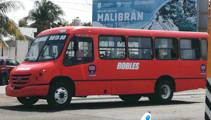 Terminal de Autobuses Los Robles R80 - 94280 Los Robles