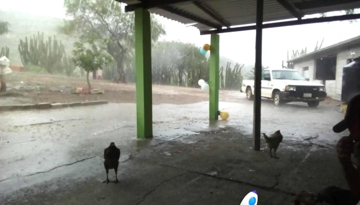 Terminal De Autobuses Oro -  Automovil - Acatlán de Osorio
