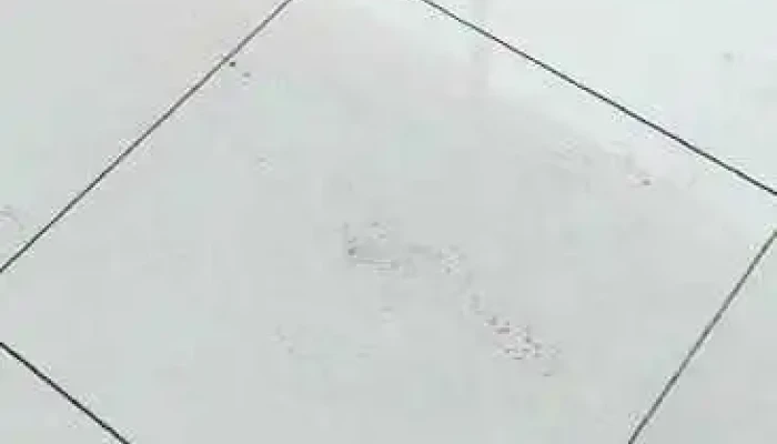 Terminal De Autobuses Rivier -  Videos - Jesús María