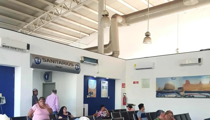 Terminal De Autobuses Tap Los Mochis -  Descuentos - Los Mochis