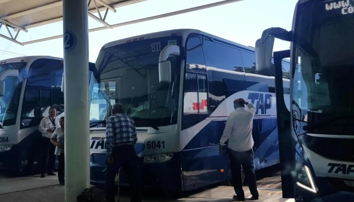 Terminal De Autobuses Tap Los Mochis -  Opiniones - Los Mochis