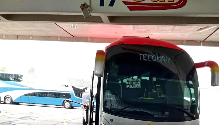 Terminal De Autobuses Zapotlan -  Catalogo - Cdad. Guzmán