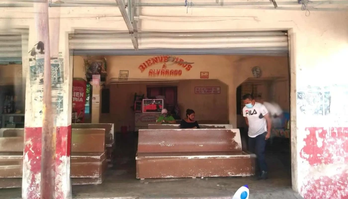 Terminal de Los Tuxtlas - Rodolfo Sánchez Taboada 71