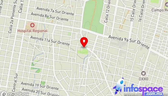 mapa de TERMINAL DE TAXIS TUXTLA-OCOSINGO VICIVERSA EJECUTIVOS DE OCOSINGO Servicio de transporte en Tuxtla Gutiérrez