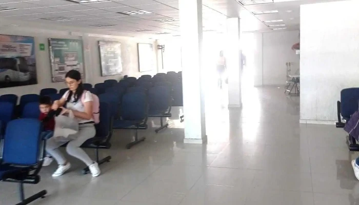 Terminal De Temascalcingo -  Lobby - El Oro