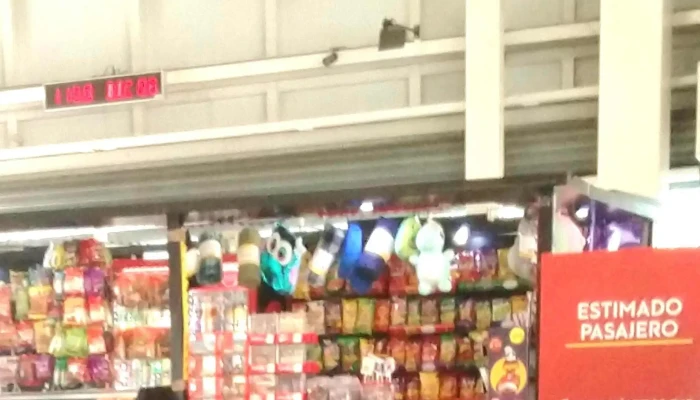 Terminal Ejecutiva Sur Ado -  Cerca De Mi - Coyoacán, Ciudad de México