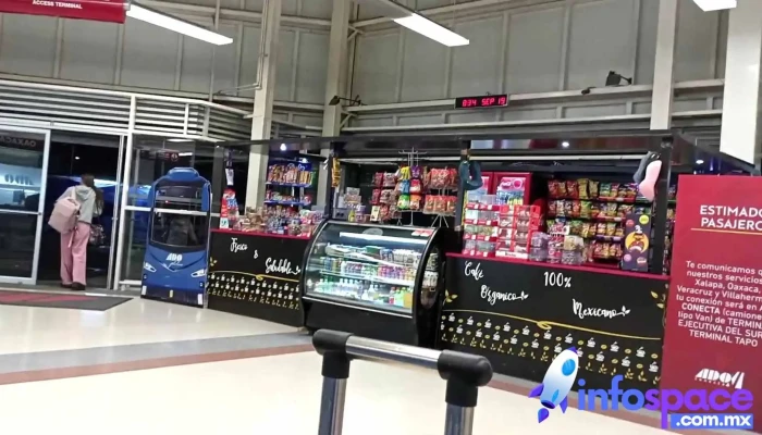 Terminal Ejecutiva Sur Ado -  Videos - Coyoacán, Ciudad de México