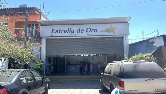 Terminal Estrella De Oro Cd Altamirano Automovil - Cdad. Altamirano
