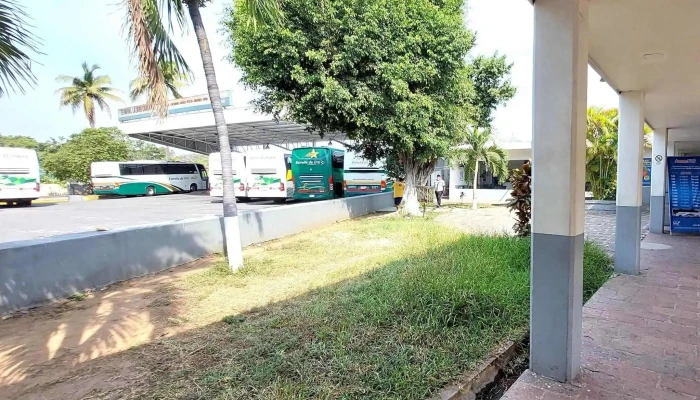 Terminal Estrella De Oro Lazaro Cardenas Donde - Cdad. Lázaro Cárdenas