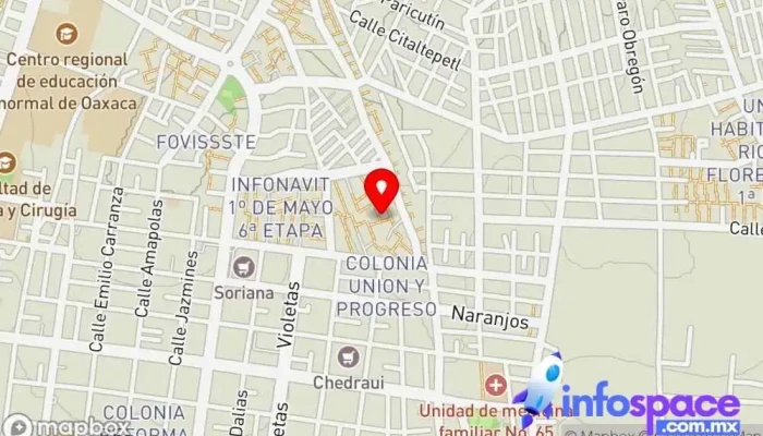mapa de Terminal la Laguna Estación de autobuses en El Barrio de la Soledad