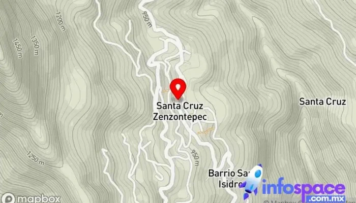 mapa de Terminal Los Zenzontles Servicio de transporte en Santa Cruz Zenzontepec