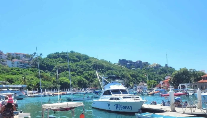 Terminal Maritima -  Videos - Crucecita