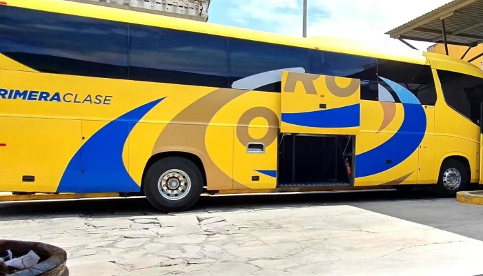 Terminal Oro -  Donde - Cuautla