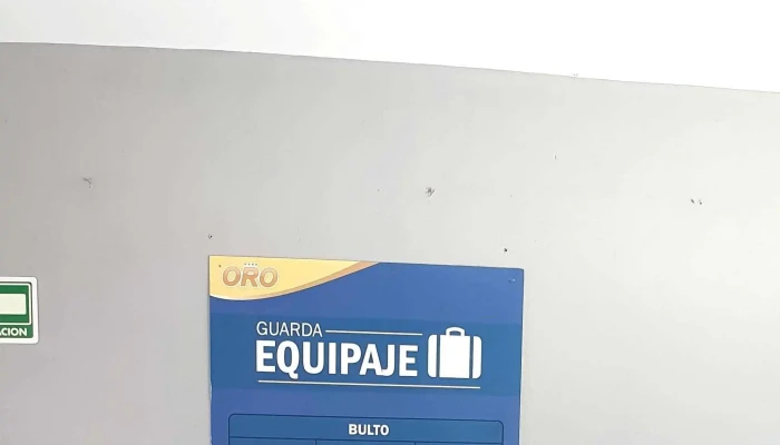 Terminal Oro -  Videos - Cuautla